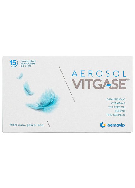 VITGASE AEROSOL 15F 25ML