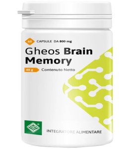 GHEOS BRAIN MEMORY 60CPS