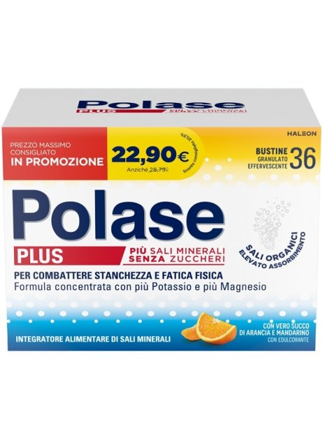 POLASE PLUS 36BUST PROMO 2024