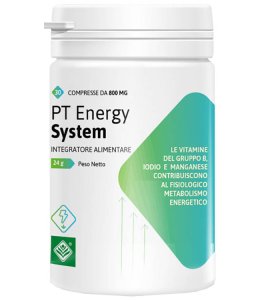PT ENERGY SYSTEM 30CPR 24G