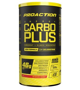 PROACTION CARBO PLUS MALTODE.530