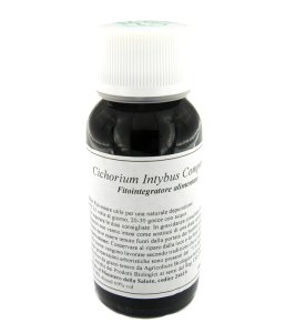 05N CICHORIUM INTYB.COMP LSV