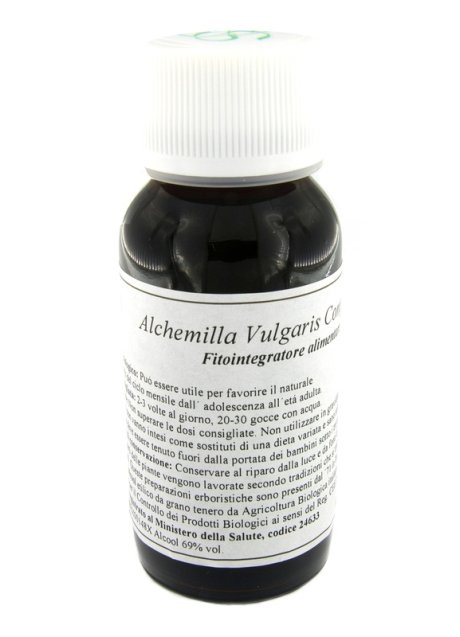 LVS 19N ALCHEMILLA VULGARIS COMPOSITUM