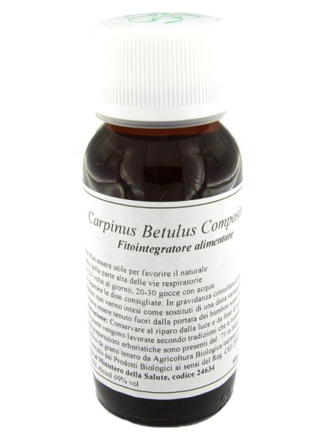 LVS 20N CARPINUS BETULUS COMP