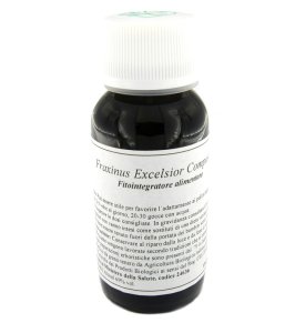 22N FRAXINUS EXCELSIOR COM LVS