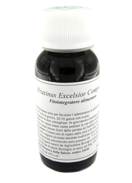 22N FRAXINUS EXCELSIOR COM LVS