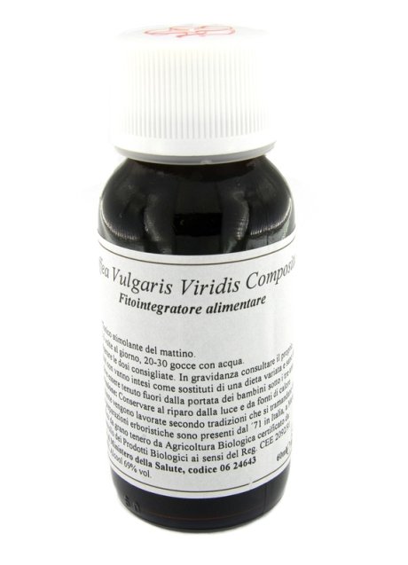 29S COFFEA VULG VIRIDIS CO LVS