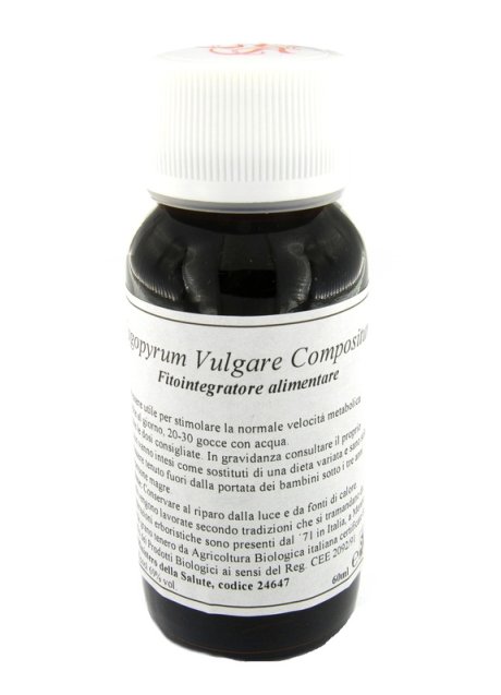 33S FAGOPYRUM VULGARE COMP LVS