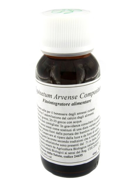 41N EQUISETUM ARVENSE COMP LVS