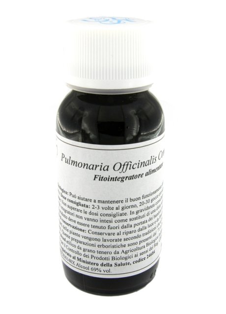 84C PULMONARIA OFF COMP LVS