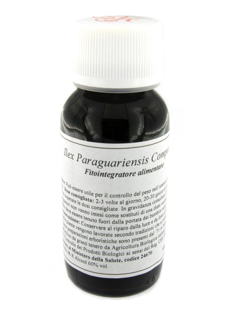 63S ILEX PARAGUARIENSIS COMP LVS