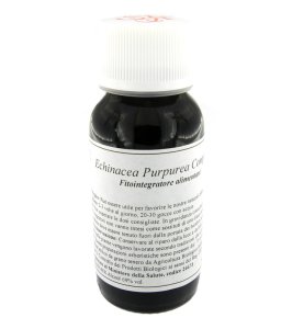 67S ECHINACEA PURP COMP 60 LVS