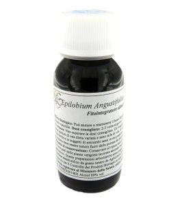 82C EPILOBIUM ANGUSTIF COM LVS