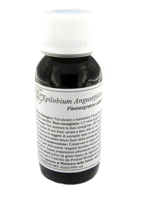 82C EPILOBIUM ANGUSTIF COM LVS