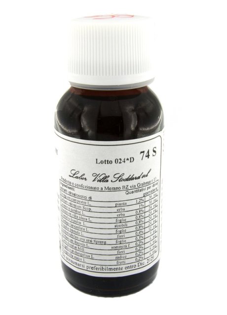 LVS 74S ERYNGIUM CAMPESTRE COM