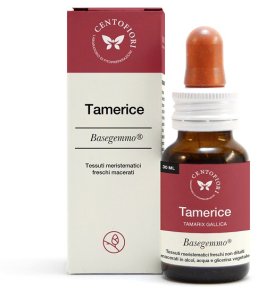 TAMERICE BASEGEMMO 30ML