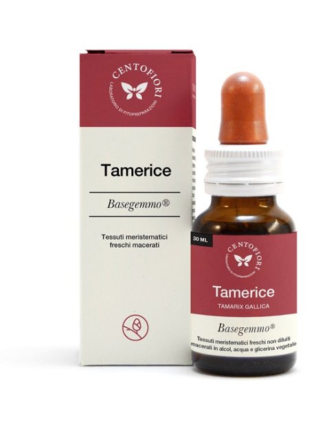 TAMERICE BASEGEMMO 30ML