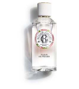 R&G FLEUR FIGUIER EAU PAR100ML