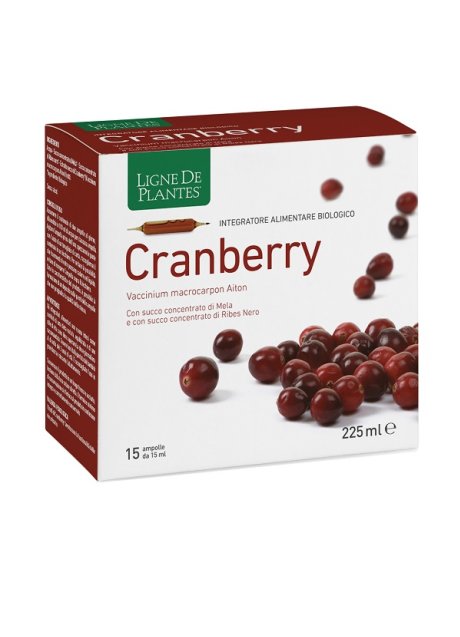 CRANBERRY 15AB 15ML
