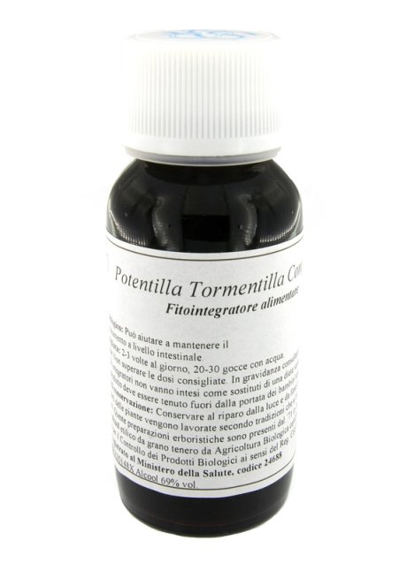 LVS 88C POTENTILLA TORMEN COMP
