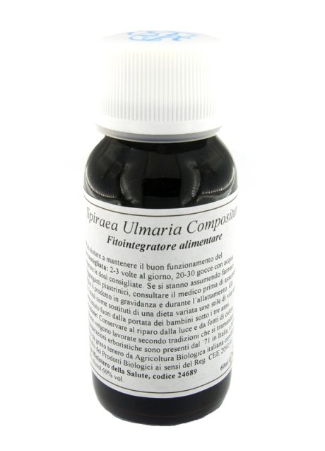 LVS 89C SPIRAEA ULMARIA COMP
