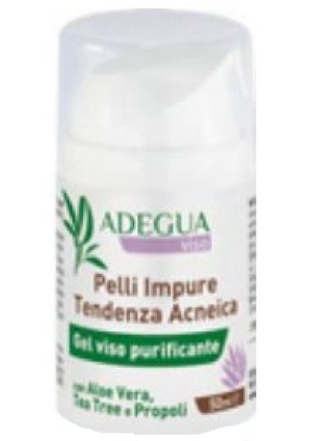 ADEGUA GEL ALOTREE 50ML