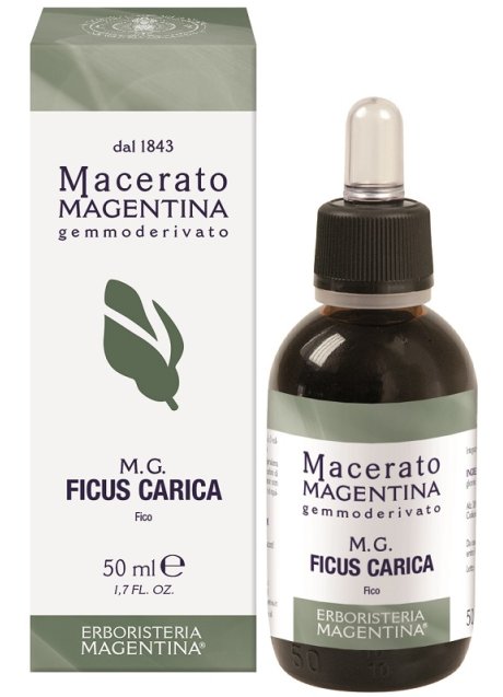 FICUS CARICA MACERATO MAGE50ML