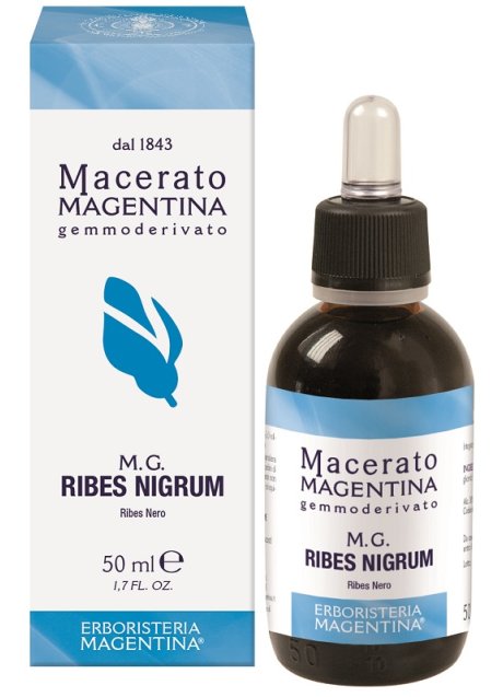 RIBES NIGRUM MACERATO MAGE50ML