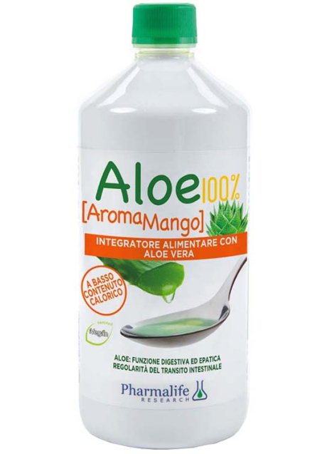 ALOE 100% AROMA MANGO 1LT