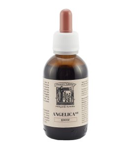 ANGELICA SH THESAURA NATURAE G