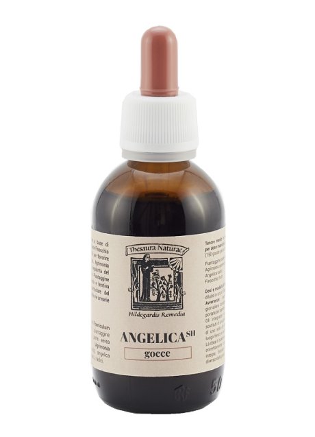 ANGELICA SH THESAURA NATURAE G