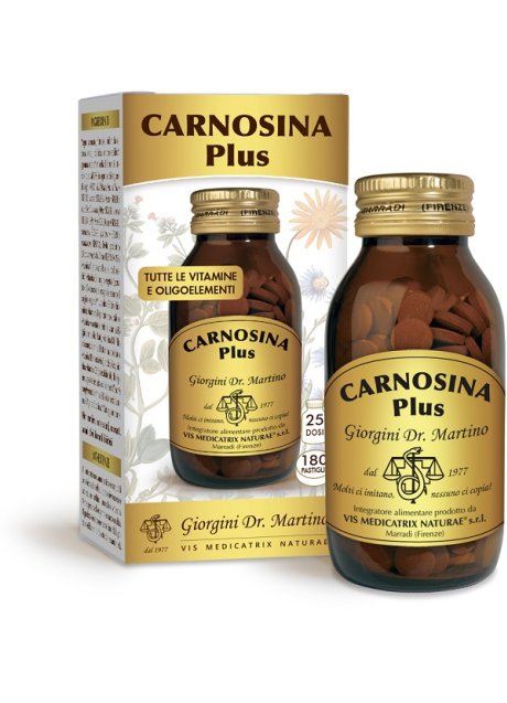 CARNOSINA PLUS 180PAST 500MG N/F