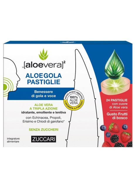 ALOEGOLA FRUTTI ROSSI 20PAST