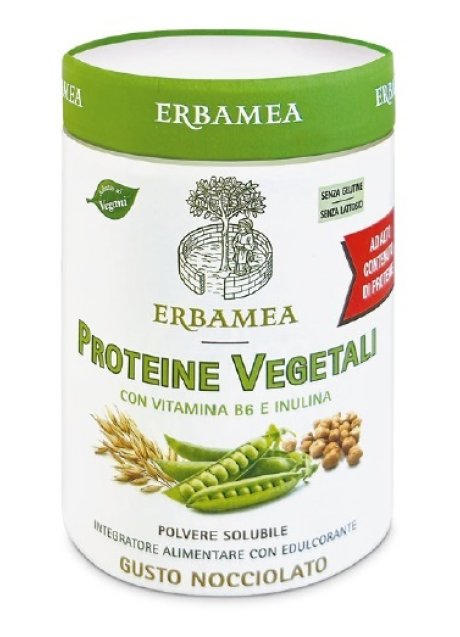 PROTEINE VEGETALI 270G