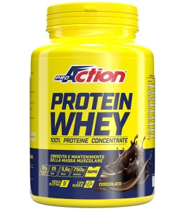 PROACTION PROT WHEY CIOC 750G