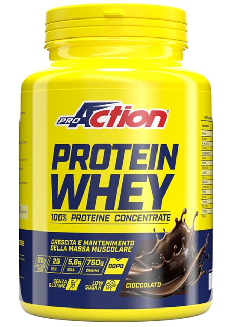 PROACTION PROT WHEY CIOC 750G