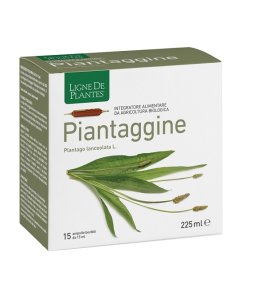 PIANTAGGINE 15AMPOLLE
