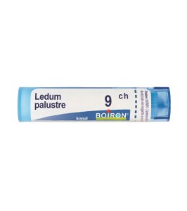 LEDUM PALUSTRE 9 CH GRANULI