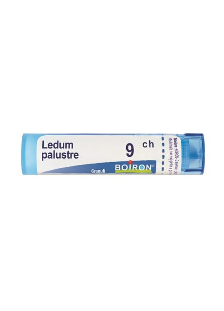 LEDUM PALUSTRE 9 CH GRANULI