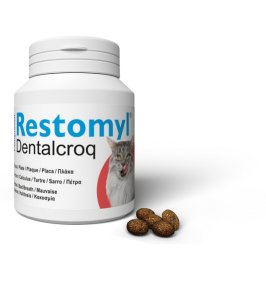 V RESTOMYL DENTRALCROQ GATTO 60G