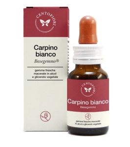 BASEGEMMO CARPINO BIANCO 30ML