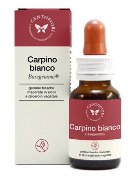 BASEGEMMO CARPINO BIANCO 30ML