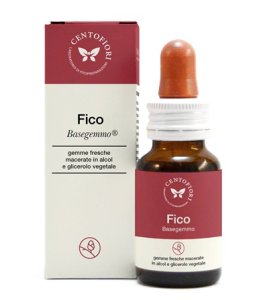 BASEGEMMO FICO 30ML
