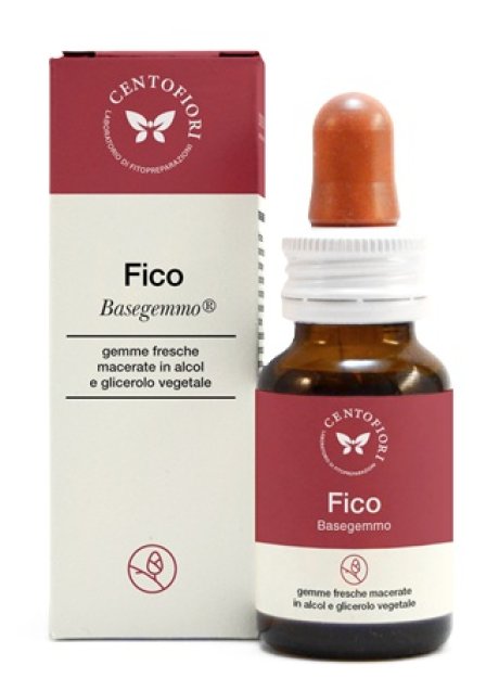 BASEGEMMO FICO 30ML