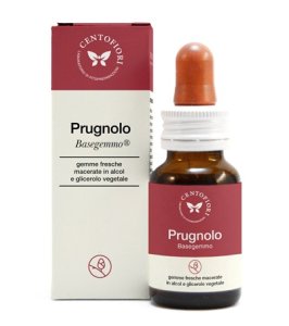 BASEGEMMO PRUGNOLO 30ML