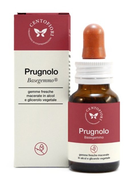 BASEGEMMO PRUGNOLO 30ML