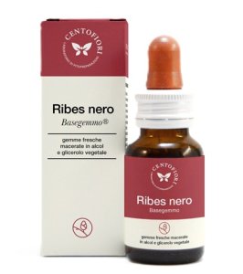 BASEGEMMO RIBES NERO 30ML