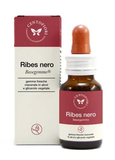 BASEGEMMO RIBES NERO 30ML