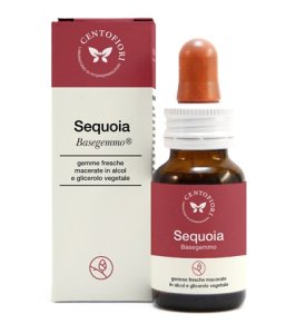 BASEGEMMO SEQUOIA 30ML