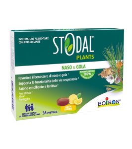 STODAL PLANTS LIMONE 36PAST